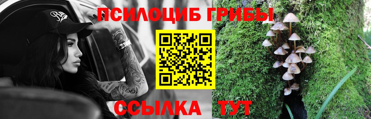 Псилоцибиновые грибы мухоморы Якутск